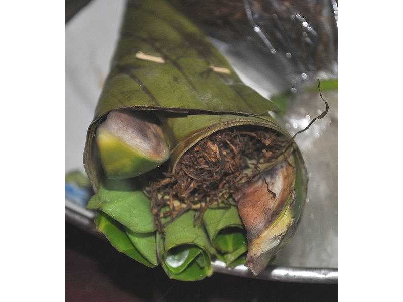 -kojong-tobacco-pinang-lekesan-set 2